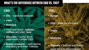 CBD vs. THC Key Differences