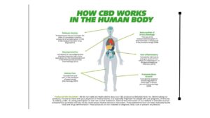 How CBD Can Be Used to Benefit Health