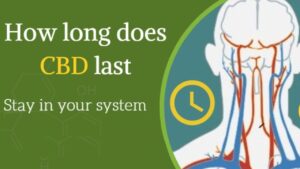 How long does it take to feel the effects of CBD 