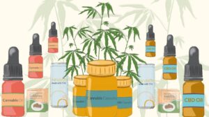 The Different Types of CBD Oil
