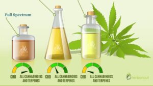 The Different Types of CBD Oil