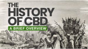 The Origins of CBD