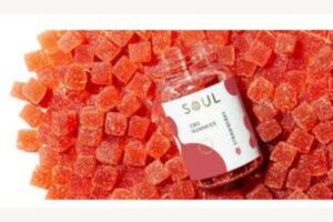 Soul CBD Gummies