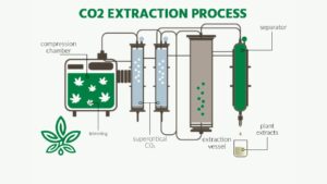 The CO2 Extraction Method