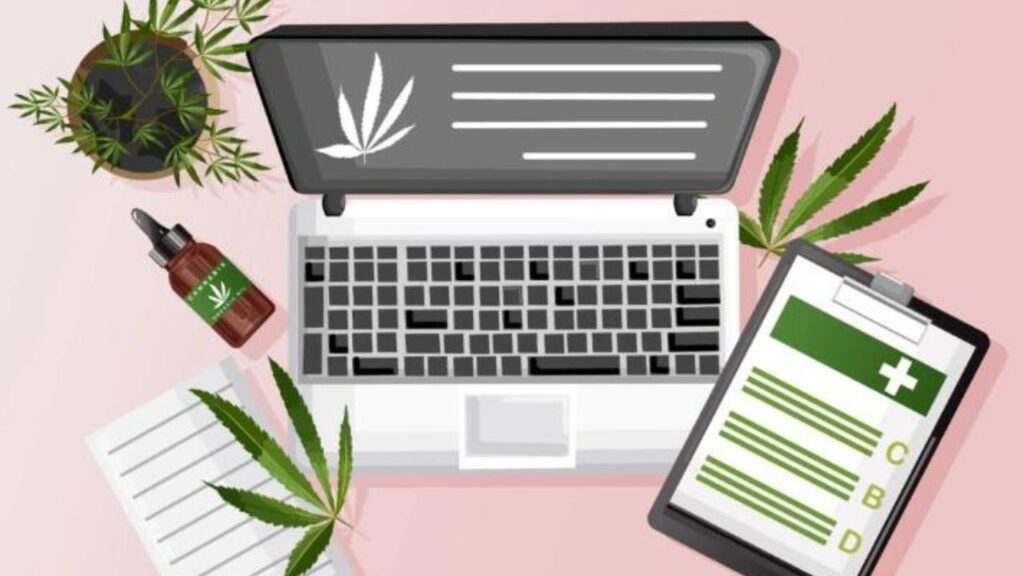 The Need for Cannabis Business Social Networks