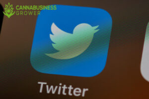 Twitter as a Cannabis Business Social Network